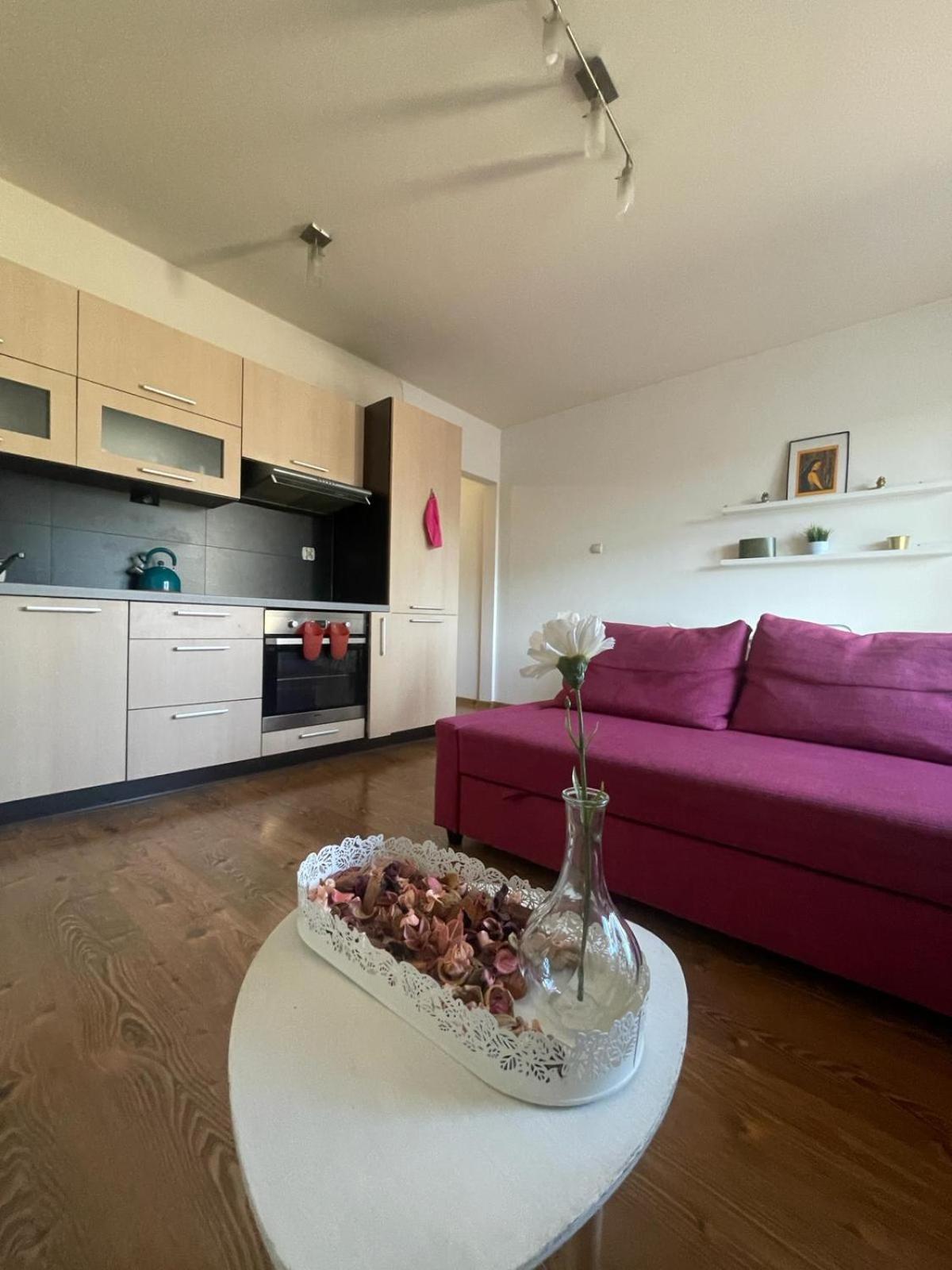 Appartement Przystan Dolnych Mlynow à Cracovie Extérieur photo